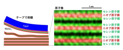 電荷が波打つ超伝導原子シートによる磁気量子センサー開発～次世代量子・超伝導デバイスの鍵を握る～