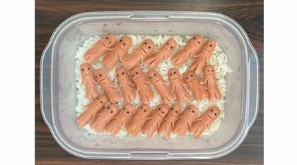 “ウインナー星人”が主役のお弁当を連日投稿…様々なバリエーションが楽しい！一番のお気に入りを聞いた