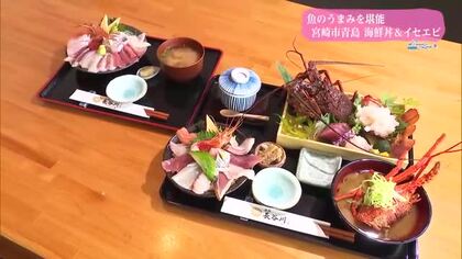 魚のうまみと景色を味わう！海鮮 長谷川 青島【トレリン】