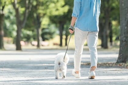 ペットの排泄物を放置する飼い主…警察の取り締まりはあるのか？保健所は「啓発活動に注力」【あなたの声で調査しました】