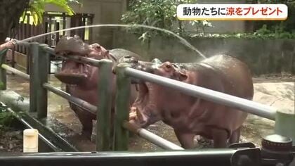 涼をとる動物たちの姿を見て暑さしのぎ　沖縄子どもの国で「アイス祭り」