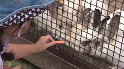 夏休みもあとわずか「こどもが喜ぶ無料スポット」大幅リニューアルの札幌市青少年科学館では“科学のフシギ”を楽しめる特別展開催中＿栗山公園の無料動物園も人気！