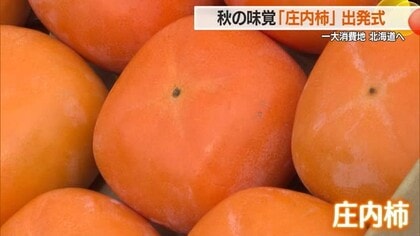 秋の味覚「庄内柿」北海道へ出荷　日照時間が長かったため実大きく甘み増した　山形・鶴岡市