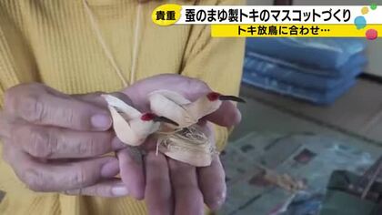 まゆから生まれた「貴重なシルク製のトキ」中能登町の女性がトキ放鳥に合わせて初挑戦したマスコット