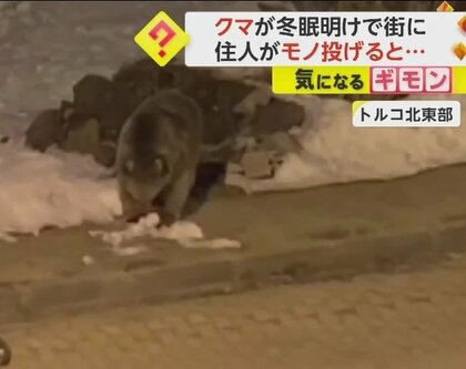 「クマからすれば一瞬で走ってこれるレベル」冬眠明けクマに住民がモノを投げ追い払う…専門家は危険と指摘　トルコ