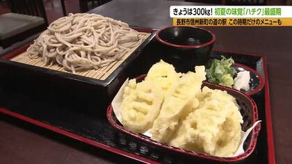 初夏の味覚「ハチク」が最盛期　道の駅に今季最多の約300キロ入荷　人気そば店でも「天ぷら」「煮もの」提供　客「アクがなくてサクサクしておいしい」　長野市信州新町