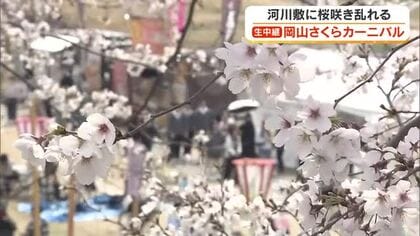 【岡山さくらカーニバル会場から中継】桜にグルメに春の岡山を堪能…佐藤理子アナが見どころを紹介【岡山】