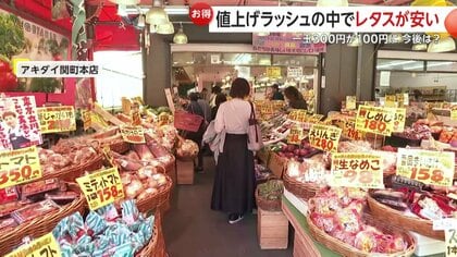 いま「レタス」がお買い得 478品目の“食料品”値上げラッシュの中…5月