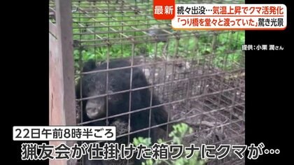 人里“覚えた”クマが各地に出没 八幡平の「ドラゴンアイ」ではセンサー