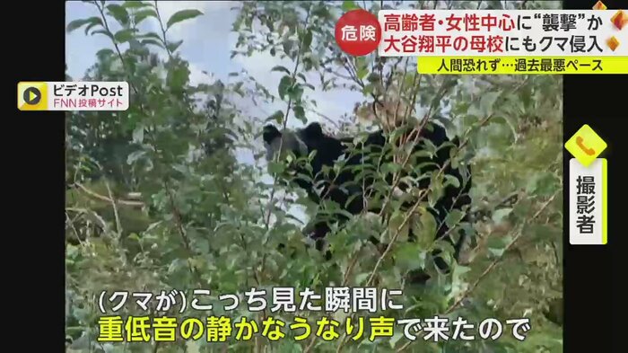 (宮城・大崎市 19日)