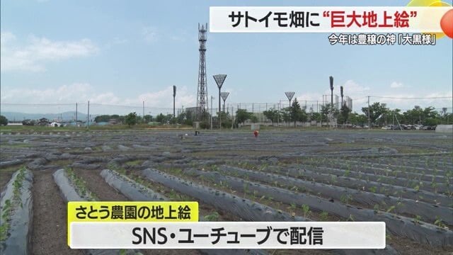 過去の地上絵・さとう農園の取り組みはユーチューブチャンネル「さといもやさとう農園株式会社」で