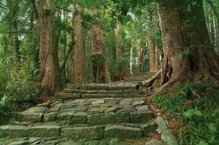 吉野熊野国立公園の熊野古道