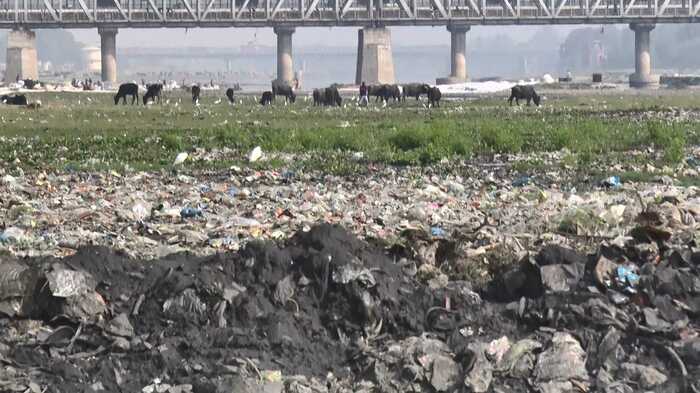 河川敷に流れ着いたプラスチックごみ