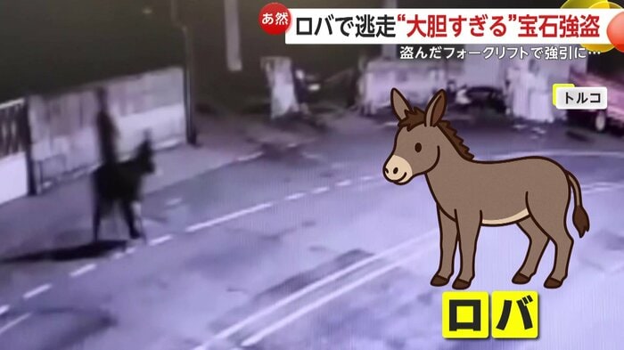 ロバにまたがり街を駆け抜けて逃走する強盗犯（IHA）
