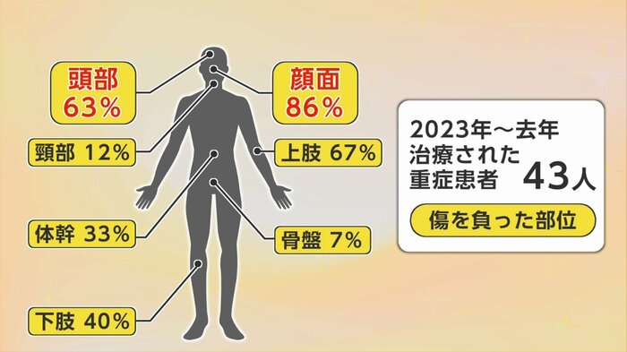 秋田大病院高度救命救急センターが分析したクマ外傷の部位