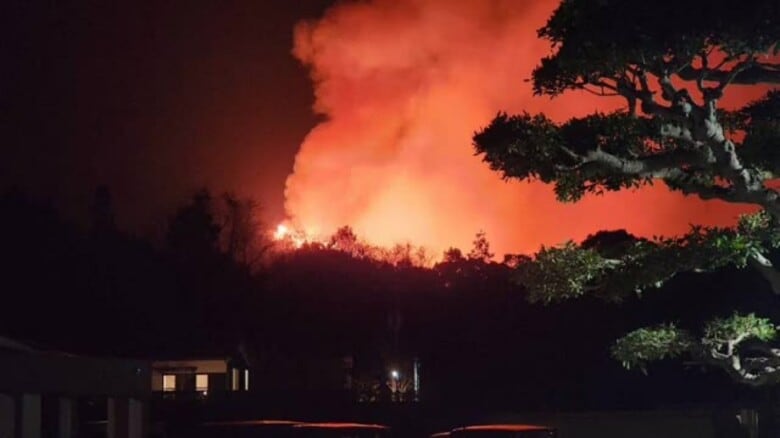 今治の山林火災　建物被害２３棟・負傷４人に　愛媛で平成以降最大規模　県が被害最終まとめ【愛媛】｜FNNプライムオンライン