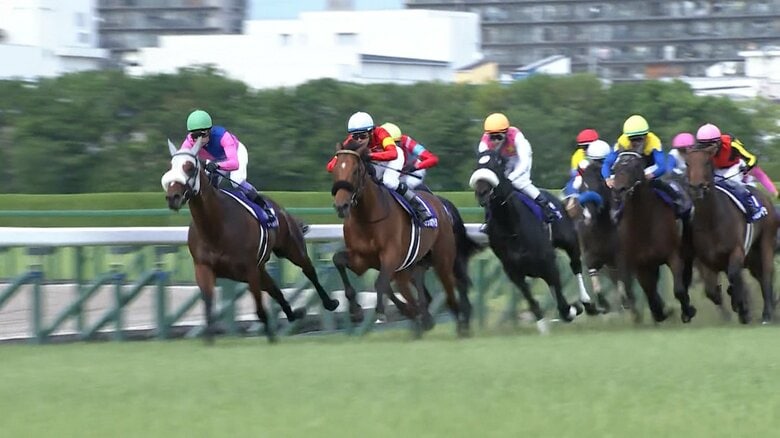 【上半期グランプリレース 宝塚記念・G1】超豪華決戦 史上初の春古馬3冠かかるクロワデュノールか、武豊GⅠ連勝でメイショウタバル連覇か データから導き出された穴馬は|FNNプライムオンライン
