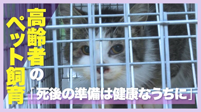 “高齢者のペット飼育”飼い主の死亡や多頭飼育崩壊…愛するペットのためにも備えを「死後の準備は健康なうちに」新潟｜FNNプライムオンライン