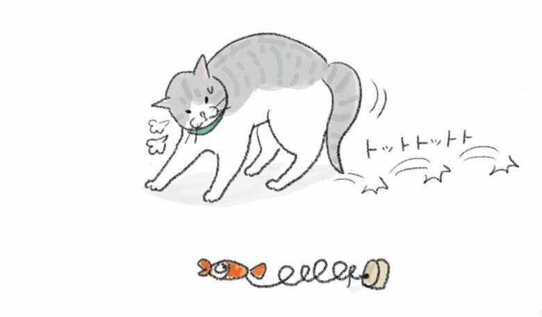 【猫あるある漫画】なんでそんなに猫しぐさ　第6回「縦横にスライド　やんのかステップ」｜FNNプライムオンライン