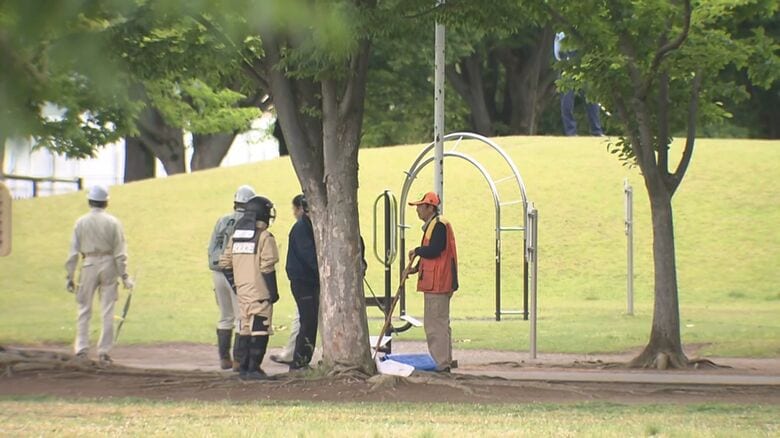 松本市街地でまたクマの目撃　警察や市が注意呼びかけ　長野｜FNNプライムオンライン