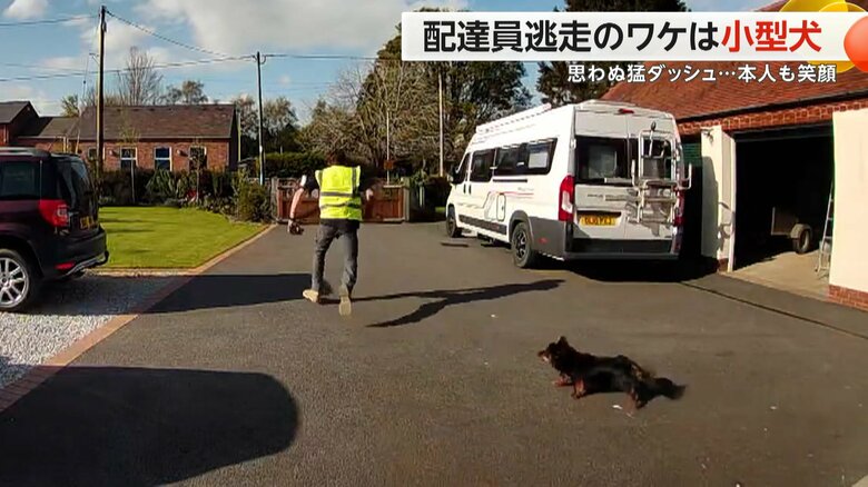 思わぬ“猛ダッシュ”　配達員が全力逃走のワケは…“小型犬”　高い門も飛び越えるあわてぶりに本人も笑顔　イギリス｜FNNプライムオンライン