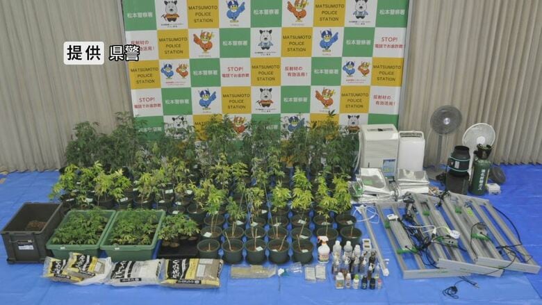 営利目的で大麻草を栽培か　会社員の男（40）と無職の女（23）を逮捕　男の住宅の部屋から100株以上を押収｜FNNプライムオンライン