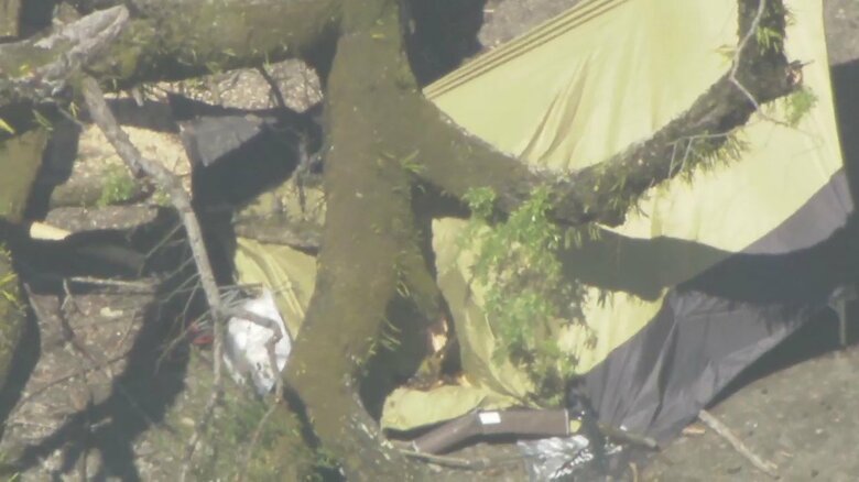 【続報】キャンプ場従業員「周辺の木は毎朝確認していた」根元腐っていたか…倒木で下敷き　29歳女性死亡｜FNNプライムオンライン