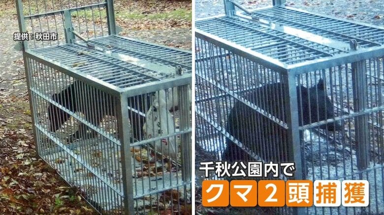 クマが相次ぎ“人の生活圏”に異常出没　6日間の民家居座りから自衛隊出動まで　住民「どこが安全なのか分からない」｜FNNプライムオンライン