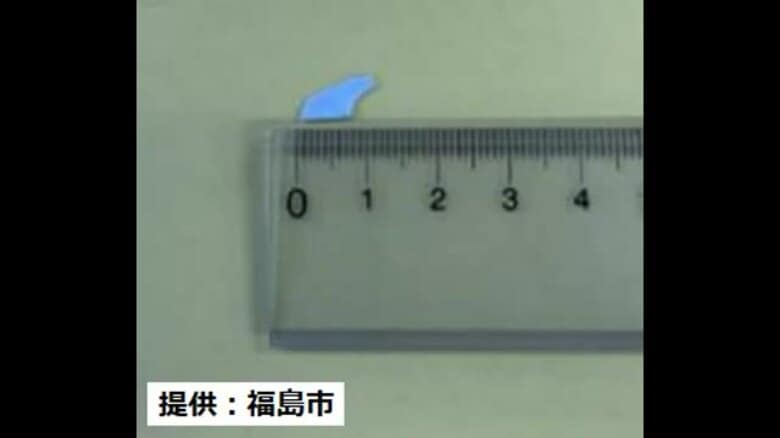 公立保育所の給食にプラスチック片混入　調理で使っていたザルの一部が欠けたか＜福島県福島市＞｜FNNプライムオンライン