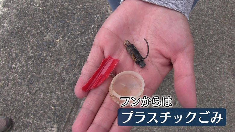 ふんから出てきたプラスチックごみ