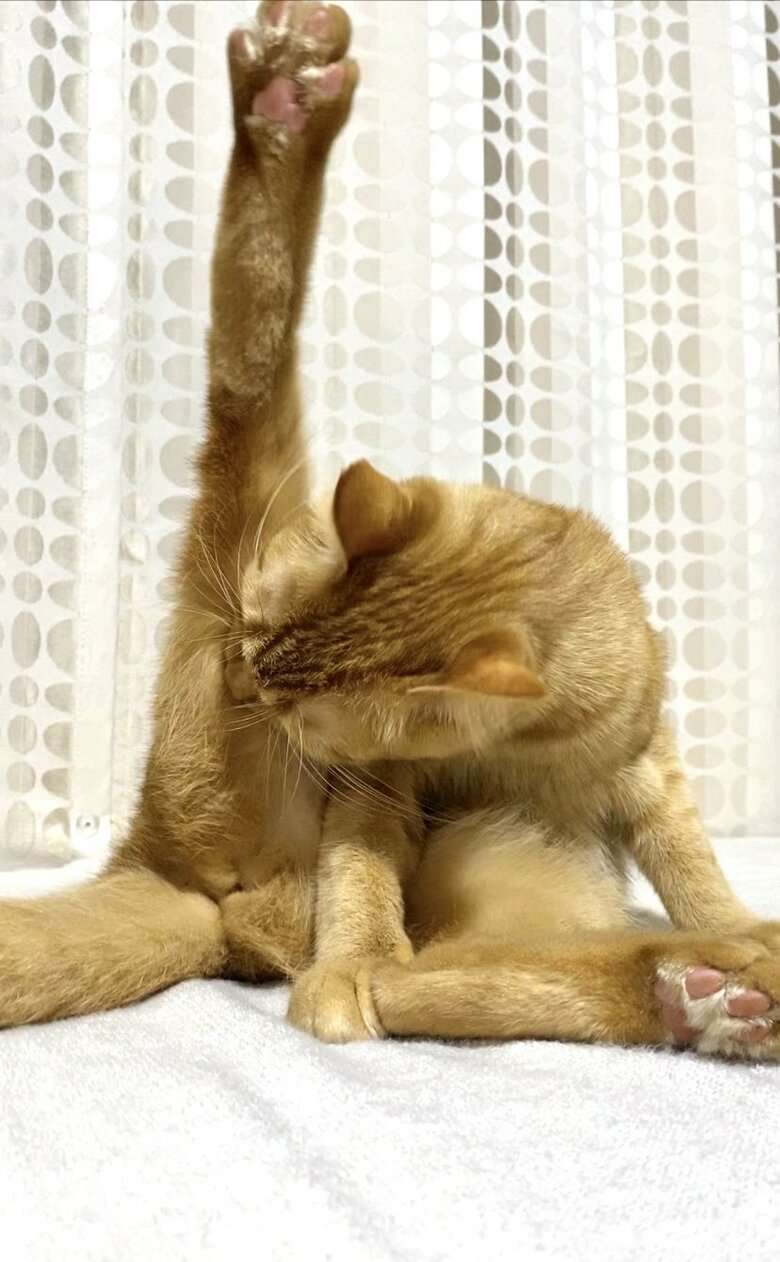 脚がピーン