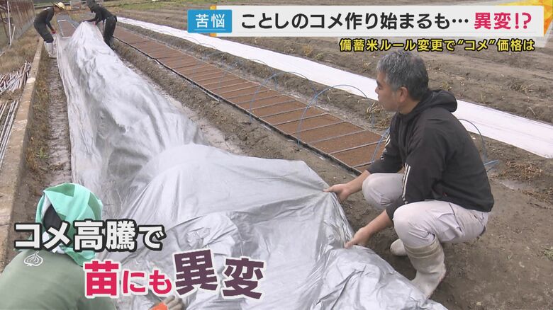 JAで販売される種「予約していた分だけしかない」