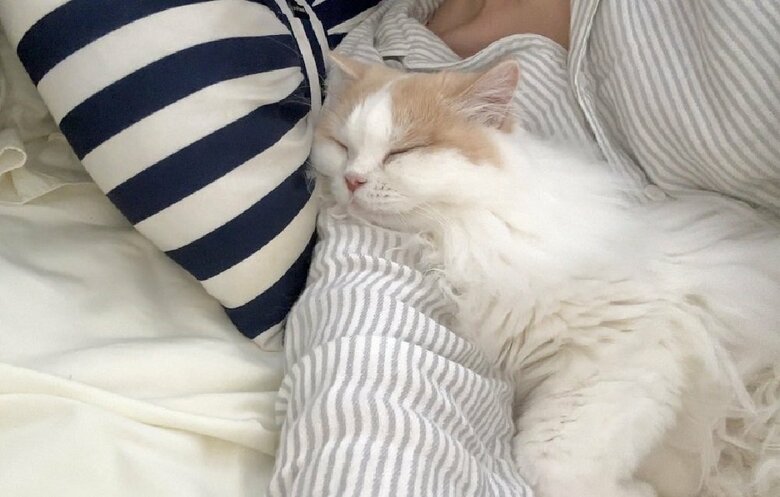 腕枕で寝ているという