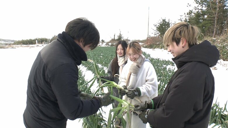 この日の収穫作業は全て手作業