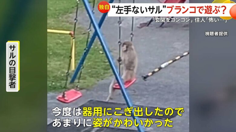 「今度は器用にこぎ出したので、あまりに姿が可愛かった」と語るサルを目にした人