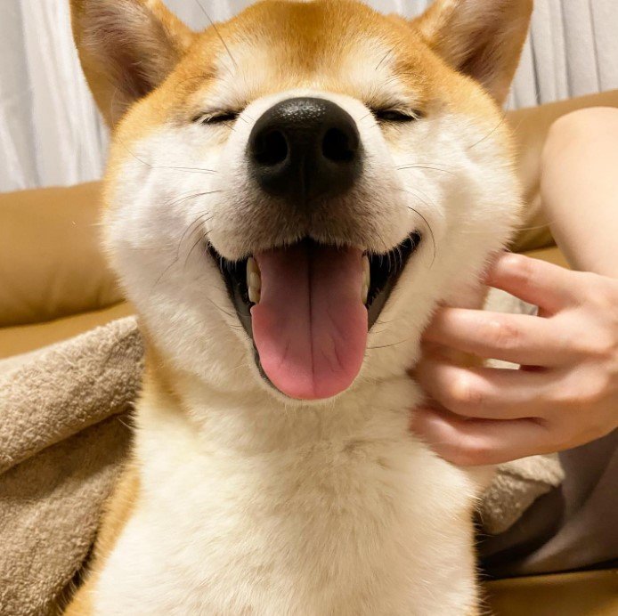 提供：torakichi602さん