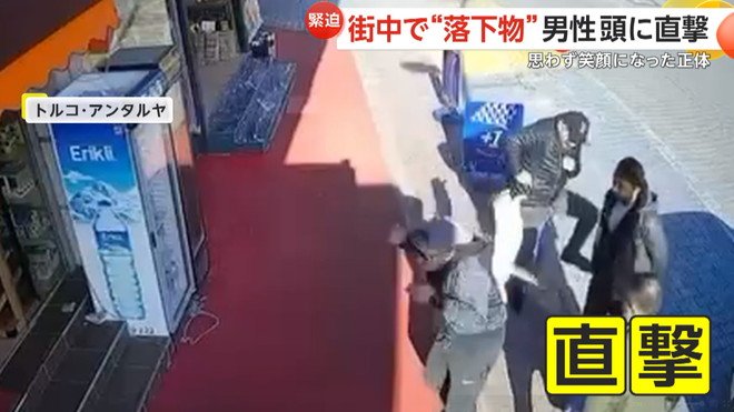 男性の頭にネコが落ちてきた瞬間