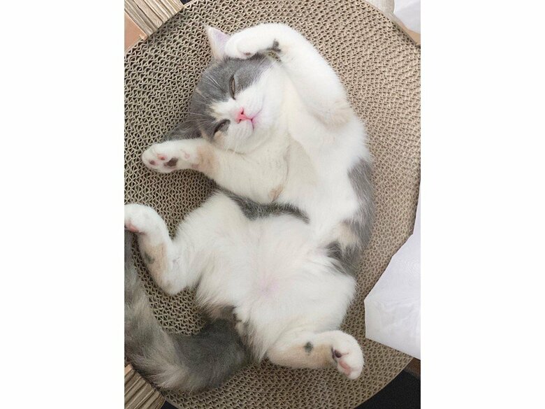 ちょっと変な寝姿