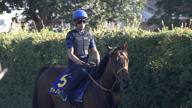 サトノレーヴ調教