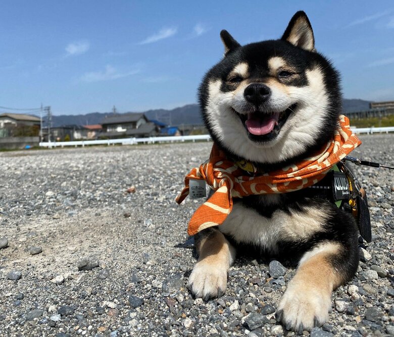 お外でまったり