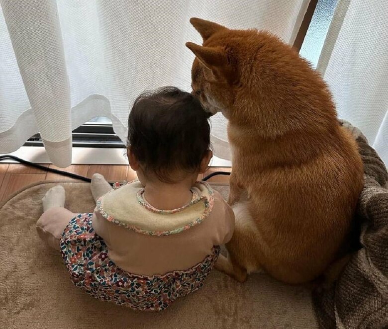 一緒に何を見ているの？