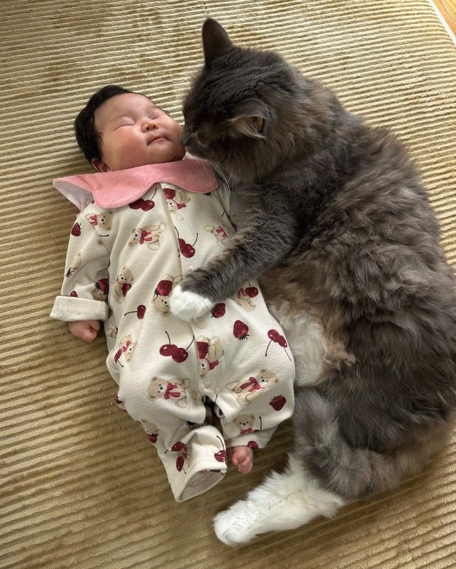 提供：エルモとみみりんさん