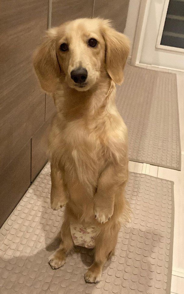 提供：___0516.wanさん