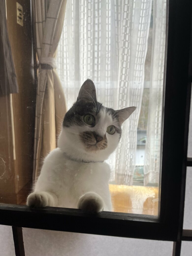 提供：いのうえもんぺさん