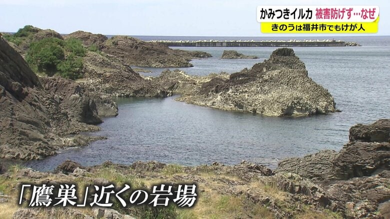 男性が被害にあった現場付近