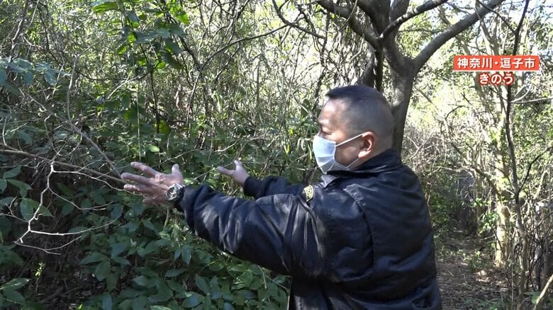 23日にウサギを発見・撮影した　山村さん