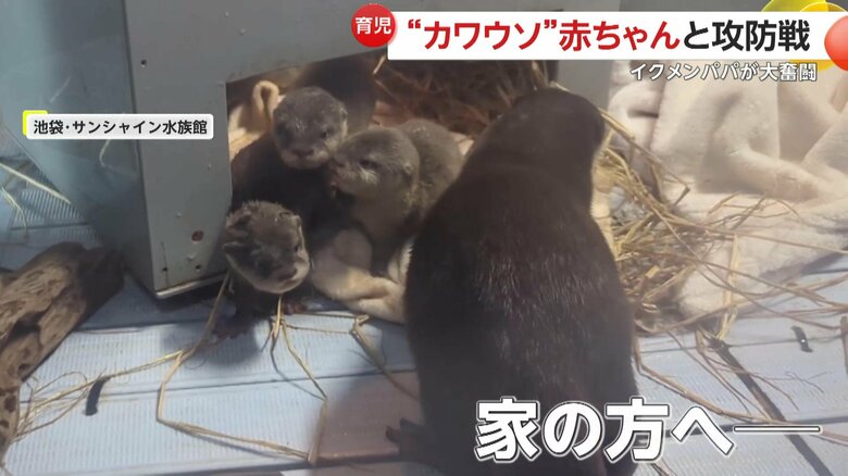 子どもたちを家の方へ連れ戻すお父さん（池袋・サンシャイン水族館）