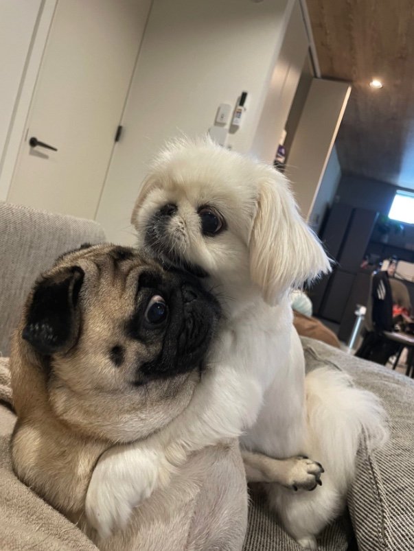 提供：よこむすびさん