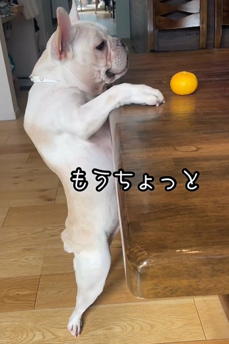 「あとちょっと…」届かない