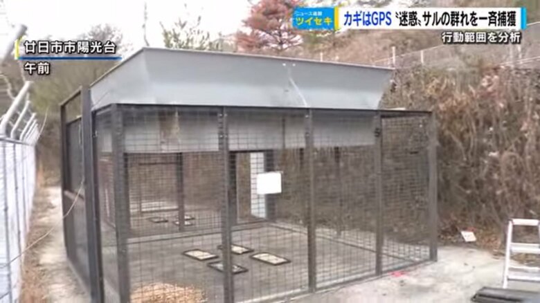 サル捕獲のワナ